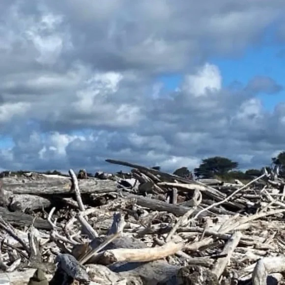 Driftwood Art, Large Driftwood Wind Chime, Driftwood Coastal Art - Picture 8 of 10